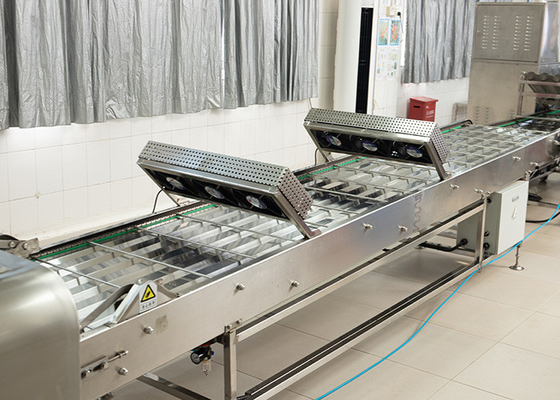 Installazione di raffreddamento d'ordinamento elettrica bollente commerciale del campo del trasportatore