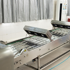 Macchine di raffreddamento semiautomatiche per alimentari
