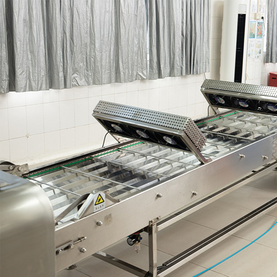 Convogliatore di raffreddamento di Marshalling per linea di produzione con alimentazione 220V/380V