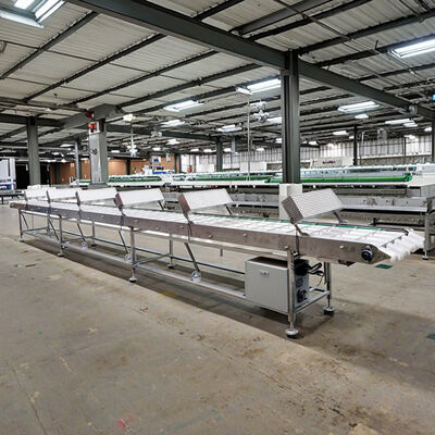 Easy To Install Marshalling Cooling Conveyor Offering Power Supply Suitable For Sugar Cone Machine