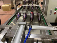 Rullo automatico Sugar Cone Production Line 10000cones/Hour del cioccolato