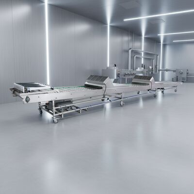 Vendita Diretta in Fabbrica Nastro Trasportatore di Raffreddamento e Smistamento Automatico con Accessori Completi