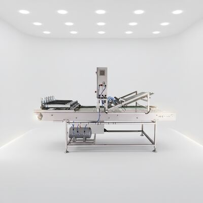 Vendita Diretta dalla Fabbrica Nastro Trasportatore di Raffreddamento e Smistamento Automatico per Linea di Produzione Coni Zucchero