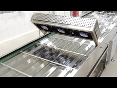 Trasportatore di raffreddamento d'ordinamento