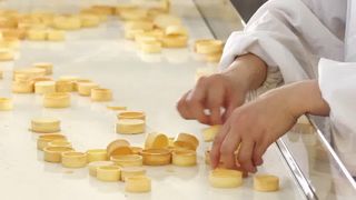 Crostata automatica Shell Production Line